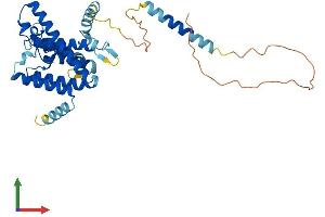 Protein Structure (PS) image for Transmembrane Protein 115 (TMEM115) (AA 1-350) protein (His tag) (ABIN7556275)