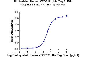 ELISA image for Vascular Endothelial Cell Growth Factor 121 (VEGF121) (AA 27-147) protein (His-Avi Tag,Biotin) (ABIN7275826)