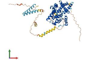 Protein Structure (PS) image for phosphodiesterase 1B, Calmodulin-Dependent (PDE1B) (AA 1-535) protein (His tag) (ABIN7556856)