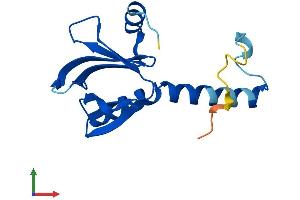 AlphaFold protein structure predicition of Human Recombinant PLEKHJ1 Protein, UniprotID Q9NW61