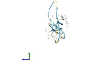 AlphaFold protein structure predicition of Human Recombinant KTN1 Protein, UniprotID Q86UP2