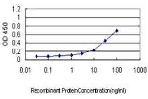 Detection limit for recombinant GST tagged IL13RA1 is approximately 1ng/ml as a capture antibody. (IL13 Receptor alpha 1 抗体  (AA 1-427))