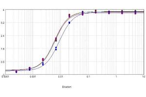 ELISA results of purified Goat Anti-CHICKEN IgG Peroxidase Conjugated Antibody tested against purified Chicken IgG. (山羊 anti-小鸡 IgG (Heavy & Light Chain) Antibody (HRP))