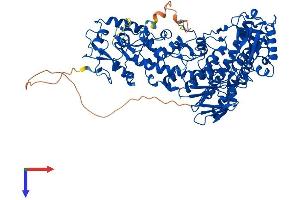KDM1B Protein (AA 1-822) (His tag)