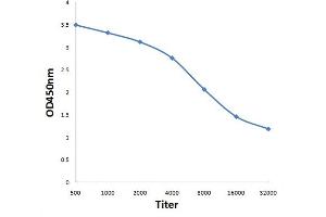 ELISA image for anti-Sortilin-Related Receptor, L(DLR Class) A Repeats Containing (SORL1) (AA 2001-2100) antibody (ABIN1387514)