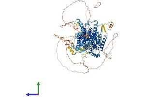 Protein Structure (PS) image for Solute Carrier Family 26 (Sulfate Transporter), Member 8 (SLC26A8) (AA 1-970) protein (His tag) (ABIN7555401)
