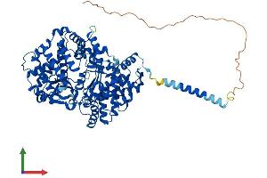 Protein Structure (PS) image for Endothelin-Converting Enzyme 1 (ECE1) (AA 1-770) protein (His tag) (ABIN7553774)