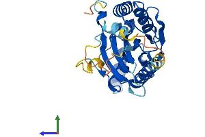 AlphaFold protein structure predicition of Mouse Recombinant Tigar Protein, UniprotID Q8BZA9 (TIGAR Protein (AA 1-269) (His tag))