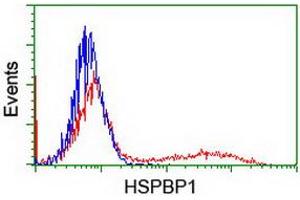 HEK293T cells transfected with either RC201814 overexpress plasmid (Red) or empty vector control plasmid (Blue) were immunostained by anti-HSPBP1 antibody (ABIN2455030), and then analyzed by flow cytometry. (HSPBP1 抗体)