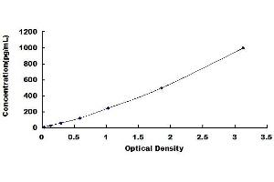 Typical standard curve (CCL1 ELISA 试剂盒)