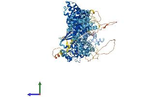 Protein Structure (PS) image for Unc-51-Like Kinase 4 (ULK24) (AA 1-1275) protein (His tag) (ABIN7555965)