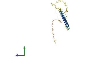 AlphaFold protein structure predicition of Mouse Recombinant Bex3 Protein, UniprotID Q9WTZ9