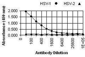 ELISA image for anti-Herpes Simplex Virus Type 1 ICP0 (HSV1 ICP0) antibody (ABIN265560)