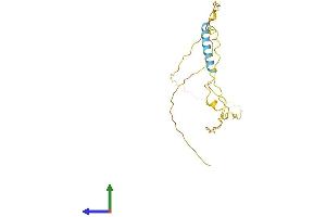 AlphaFold protein structure predicition of Mouse Recombinant Tceal3 Protein, UniprotID Q8R0A5