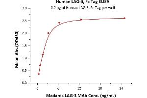 Immobilized Human LAG-3, Fc Tag (ABIN5526624,ABIN5526625) at 2 μg/mL (100 μL/well) can bind Madarex LAG-3 MAb with a linear range of 0.
