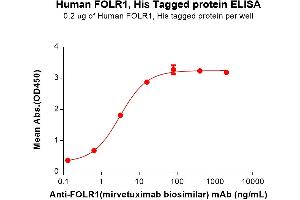 ELISA image for Folate Receptor 1 (Adult) (FOLR1) (AA 25-234) protein (His tag) (ABIN7092684)