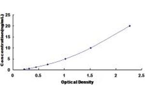 Typical standard curve (RNF39 ELISA 试剂盒)