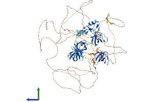 Protein Structure (PS) image for SH3 Domain Containing Ring Finger 1 (SH3RF1) (AA 1-892) protein (His tag) (ABIN7564022)