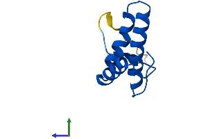 Protein Structure (PS) image for Cytochrome C Oxidase Subunit VIb Polypeptide 2 (Testis) (COX6B2) (AA 1-88) protein (His tag) (ABIN7558461)