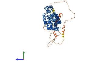 Protein Structure (PS) image for Solute Carrier Family 20 (Phosphate Transporter), Member 2 (SLC20A2) (AA 1-652) protein (His tag) (ABIN7555345)