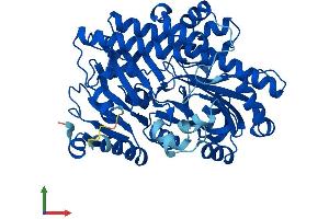 Protein Structure (PS) image for Chromosome 22 Open Reading Frame 28 (C22orf28) (AA 1-505) protein (His tag) (ABIN7560367)