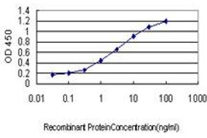 Detection limit for recombinant GST tagged DLL1 is approximately 0. (DLL1 抗体  (AA 18-109))