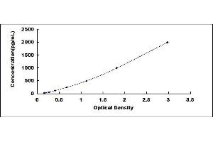 Typical standard curve (LGALS1/Galectin 1 ELISA 试剂盒)