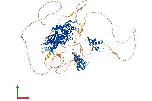AlphaFold protein structure predicition of Mouse Recombinant Ilf3 Protein, UniprotID Q9Z1X4