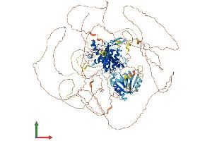 AlphaFold protein structure predicition of Human Recombinant SENP6 Protein, UniprotID Q9GZR1 (SENP6 Protein (AA 1-1112) (His tag))