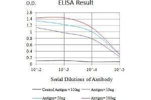 Black line: Control Antigen (100 ng),Purple line: Antigen (10 ng), Blue line: Antigen (50 ng), Red line:Antigen (100 ng) (SETD8 抗体  (AA 109-272))