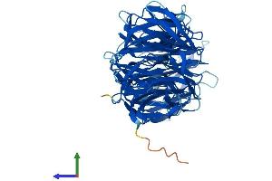 Protein Structure (PS) image for WD Repeat Domain 16 (WDR16) (AA 1-620) protein (His tag) (ABIN7553425)