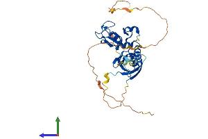 Protein Structure (PS) image for Polycomb Group Ring Finger 2 (PCGF2) (AA 1-344) protein (His tag) (ABIN7554903)