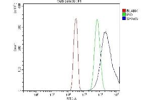Flow Cytometry analysis of SiHa cells using anti-Astrin/Deepest/SPAG5 antibody (ABIN7602399). (SPAG5 抗体  (AA 738-1193))