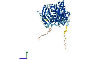 Protein Structure (PS) image for Copine VIII (CPNE8) (AA 1-564) protein (His tag) (ABIN7546720)