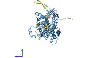 Protein Structure (PS) image for Sodium Dependent Vitamin C Transporter 1 (SVCT1) (AA 1-605) protein (His tag) (ABIN7556435)