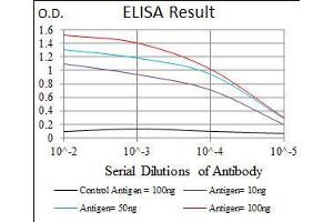 Black line: Control Antigen (100 ng), Purple line: Antigen(10 ng), Blue line: Antigen (50 ng), Red line: Antigen (100 ng), (NAPSA 抗体  (AA 20-158))