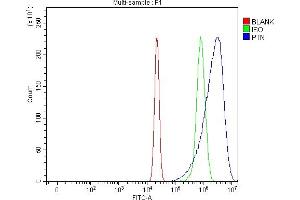 Flow Cytometry analysis of U20S cells using anti-PTN antibody (ABIN7602164). (Pleiotrophin 抗体  (AA 61-148))
