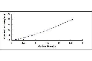 Typical standard curve (SPINK5 ELISA 试剂盒)