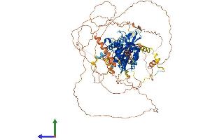Protein Structure (PS) image for Endothelial PAS Domain Protein 1 (EPAS1) (AA 1-870) protein (His tag) (ABIN7553803)