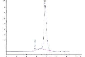 The purity of Cynomolgus LILRB2 is greater than 95 % as determined by SEC-HPLC.