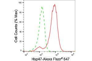 Flow cytometric analysis of Hsp47 expression in H9c2 cells using Hsp47 antibody (ABIN7800316), 1:2,000).