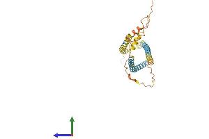 Protein Structure (PS) image for Spermatogenesis Associated 9 (SPATA9) (AA 1-254) protein (His tag) (ABIN7546266)
