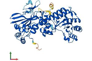 Protein Structure (PS) image for Nicotinamide phosphoribosyltransferase (NAMPT) (AA 1-491) protein (His tag) (ABIN7554676)