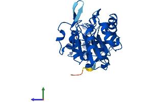 Protein Structure (PS) image for Haloacid Dehalogenase-Like Hydrolase Domain Containing 2 (HDHD2) (AA 1-259) protein (His tag) (ABIN7548280)