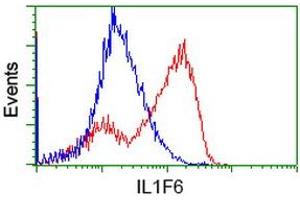 HEK293T cells transfected with either RC219328 overexpress plasmid (Red) or empty vector control plasmid (Blue) were immunostained by anti-IL1F6 antibody (ABIN2453183), and then analyzed by flow cytometry. (IL36A/IL1F6 抗体)