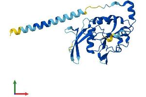 Protein Structure (PS) image for CTD Nuclear Envelope Phosphatase 1a (CTDNEP1A) (AA 1-244) protein (His tag) (ABIN7557075)