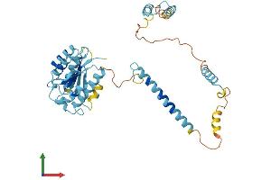 Protein Structure (PS) image for Proteasome (Prosome, Macropain) 26S Subunit, Non-ATPase, 4 (Psmd4) (AA 1-376) protein (His tag) (ABIN7562286)