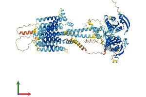 Protein Structure (PS) image for Adenylate Cyclase 7 (Adcy7) (AA 1-1080) protein (His tag) (ABIN7551885)