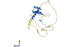 Protein Structure (PS) image for Homeobox A6 (HOXA6) (AA 1-232) protein (His tag) (ABIN7562774)