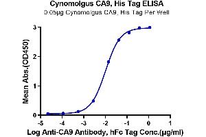 ELISA image for Carbonic Anhydrase IX (CA9) (AA 38-402) protein (His tag) (ABIN7274013)